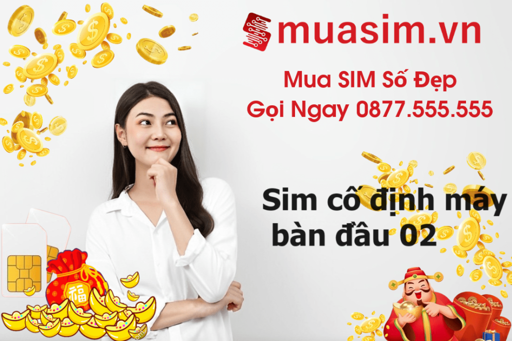 mua sim cố định máy bàn đầu 02